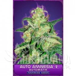 Auto Amnesia - ADVANCED SEEDS