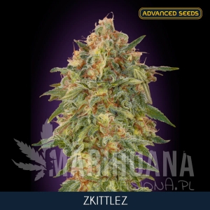 Zkittlez - ADVANCED SEEDS